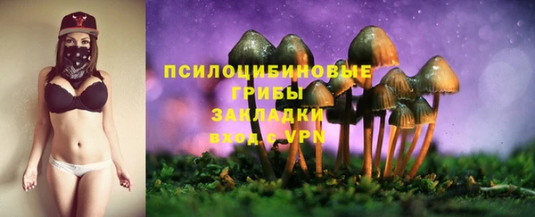 мескалин Надым