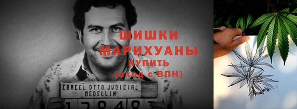 apvp Михайлов