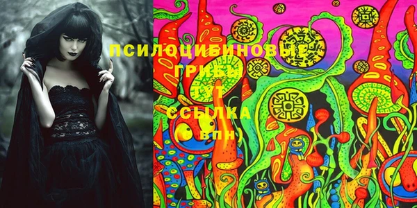 apvp Михайлов